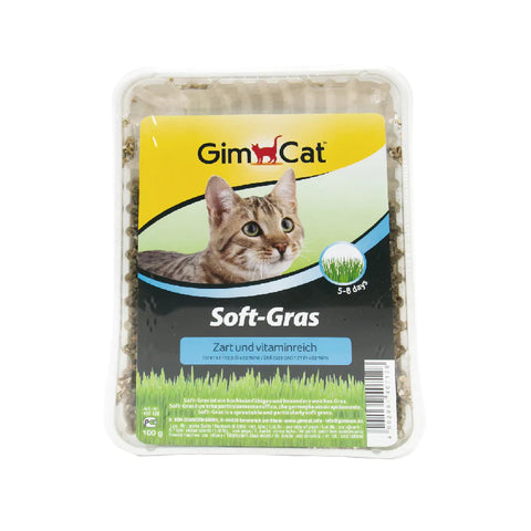 Gimcat 竣寶：特級幼嫩多汁貓草