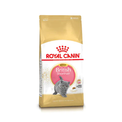 Royal Canin 法國皇家 : 英國短毛貓幼貓配方|Royal Canin - British Shorthair Kitten Formula