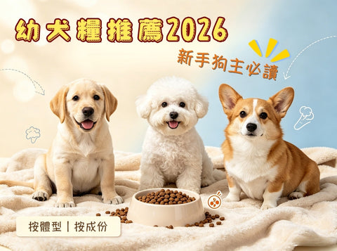 【幼犬糧推薦2026】新手狗主必讀：按體型、成份揀選發育期狗糧