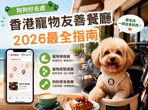 🐾 2026 香港寵物友善餐廳指南 Q-Pets DogleMap ＋ 狗狗出街裝備推薦
