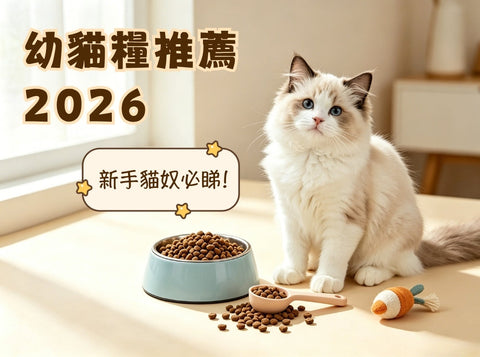 【幼貓糧推薦2026】新手貓奴必睇！揀選幼貓乾糧4大原則與消委會關注指標