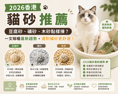【香港最新貓砂推薦2026】貓砂邊隻好？豆腐砂、礦砂、木砂點樣揀？