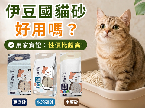 伊豆國貓砂推薦2026｜高CP值不黏底