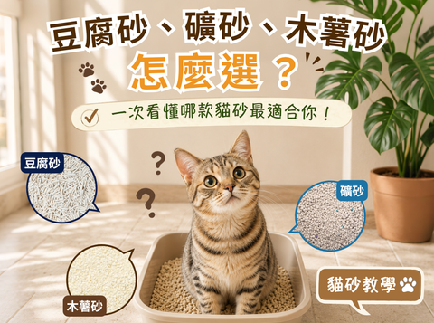 伊豆國貓砂推薦｜豆腐砂、礦砂、木薯砂混砂配方 |  學識伊豆國貓砂推薦混砂比例，兼顧快速結團、低粉塵、除臭與清潔效率，打造更舒適養貓生活。
