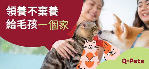 "Q-Pets Adopt don't abandon, give pets a home, with cats and dogs in the image