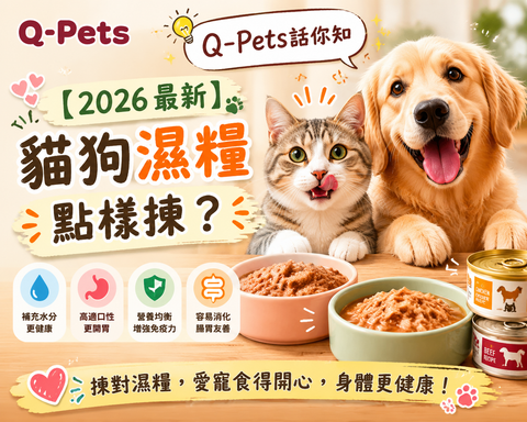 【2026 最新】貓狗濕糧點樣揀？成分表解讀＋主食罐副食罐分別