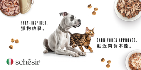 【Schesir 全面升級】天然主食罐新登場！ 完整貓狗濕糧乾糧指南