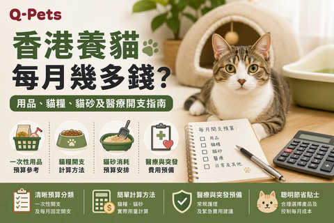 香港養貓每月開支指南，涵蓋首次用品、貓糧、貓砂、醫療及突發費用預算