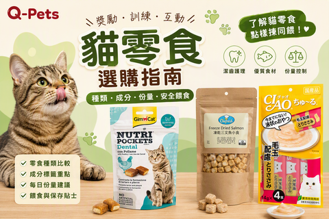Q-Pets 貓零食選購指南，介紹零食種類、成分、份量及安全餵食方法