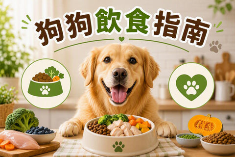 狗狗飲食指南封面圖，一隻狗狗在廚房享用健康餐點，餐碗內包含肉類及蔬菜，旁邊以圖示展示均衡營養與健康飲食概念，介紹狗狗日常飲食及營養管理知識