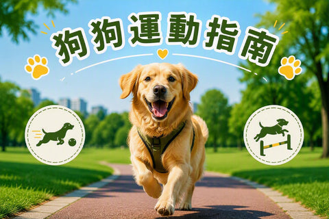 狗狗運動指南部落格封面，金毛犬在公園步道上跑步運動，搭配跑步及跨欄訓練圖示，介紹狗狗日常運動與體重管理建議