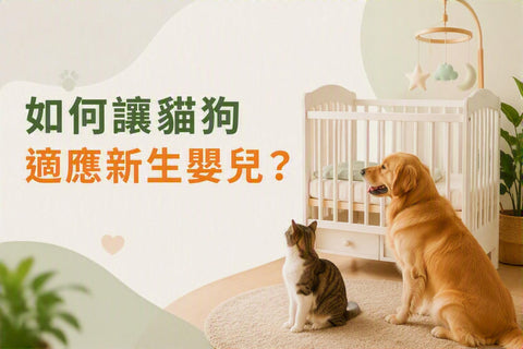 貓咪與金毛尋回犬坐在嬰兒床旁，封面標題為「如何讓貓狗適應新生嬰兒？」