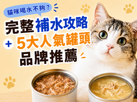 貓咪喝水不夠？完整補水攻略＋5大人氣罐頭品牌推薦