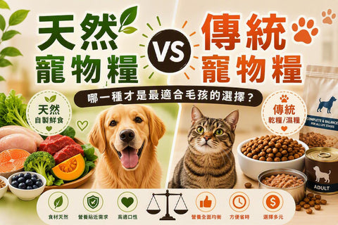 天然寵物糧 vs 傳統寵物糧: 如何選擇最適合狗狗和貓貓的飲食？