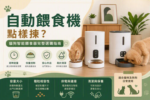 揀自動餵食機的重點
