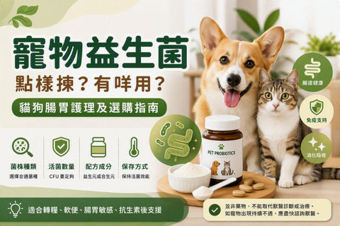 寵物益生菌選購指南，展示貓咪、狗狗、腸道健康及益生菌補充品
