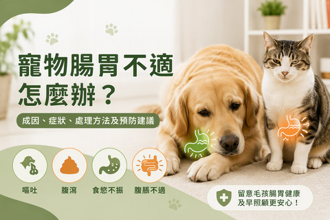 狗狗和貓貓出現嘔吐、腹瀉、食慾不振及腹脹等腸胃不適症狀