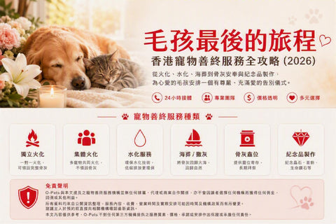 毛孩最後的旅程: 2026香港寵物善終、火化、水化、自然撒灰及紀念服務全攻略