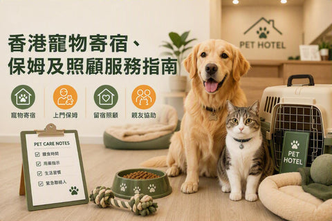 香港寵物寄宿、保姆及照顧服務的重點