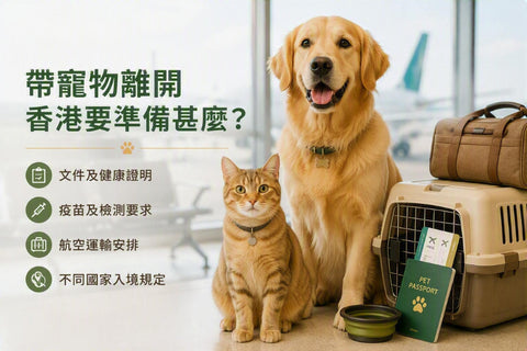 貓咪與金毛尋回犬在機場候機區，旁邊放有寵物航空運輸箱、行李、旅行文件及寵物護照