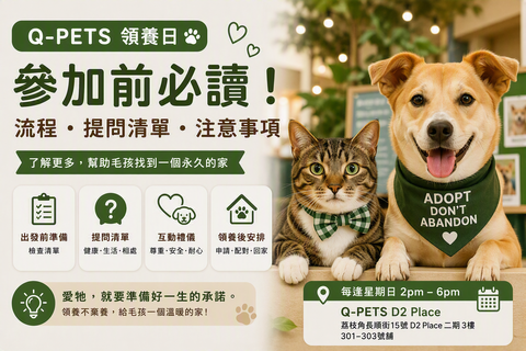 Q-PETS 領養日參加流程、提問清單及注意事項