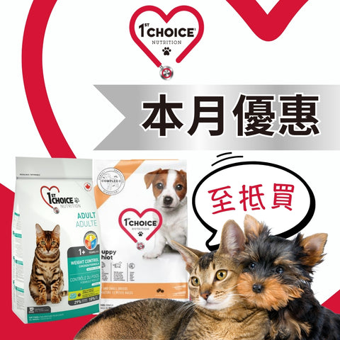 1st Choice 壹之選