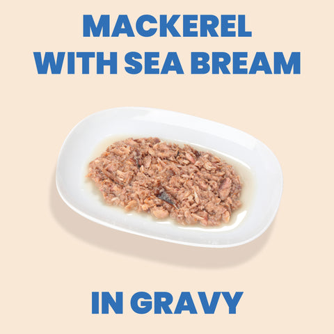 Almo Nature: HQS Exclusive Retailer - Mackerel &amp; Snapper Cat Food Cans
