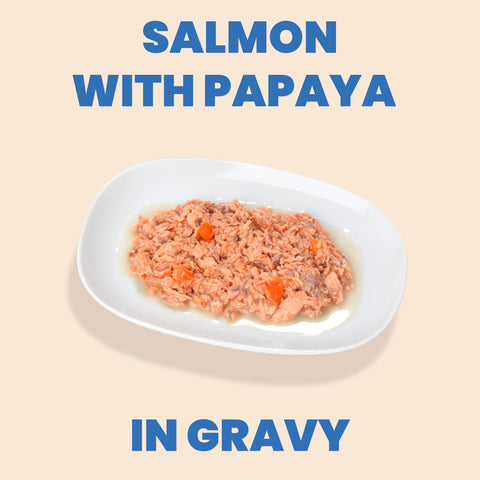 Almo Nature: HQS Exclusive Retailer - Salmon &amp; Papaya Cat Food Canned Food - 70g