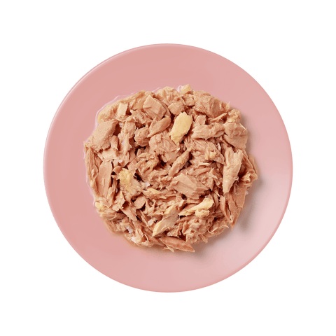 Applaws: Tuna Fillet Salmon Cat Food - 70g