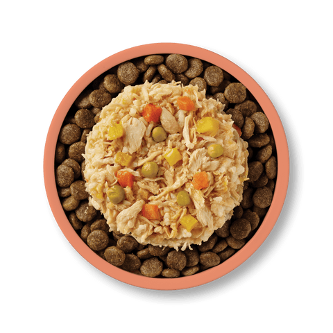 Applaws: Chicken Breast, Salmon, and Vegetable Dog Canned Food (New and old packaging shipped randomly)