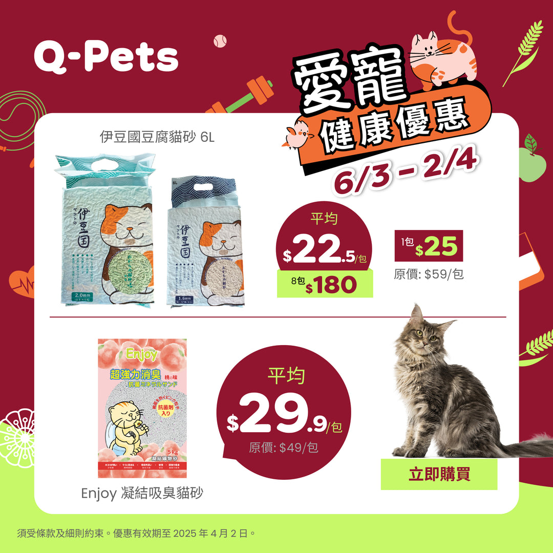 Q-PETS - 全港最強寵物全方位體驗店 | 你的愛寵首選