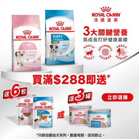 Royal Canin - 優惠