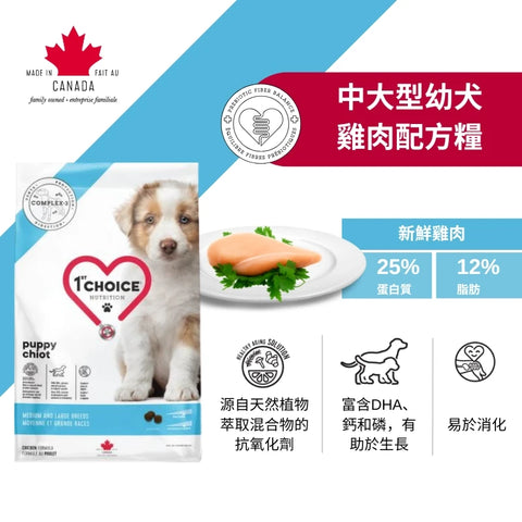1st Choice: Chicken Formula Puppy Food for Medium and Large Sizes 