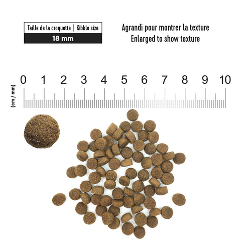 1st Choice: Lamb, Fish, and Brown Rice Adult Dog Food for a Healthy Coat 
