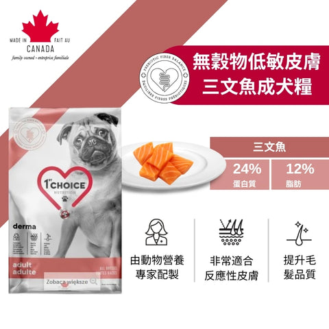 1st Choice 壹之選: 無穀物低敏皮膚三文魚成犬糧