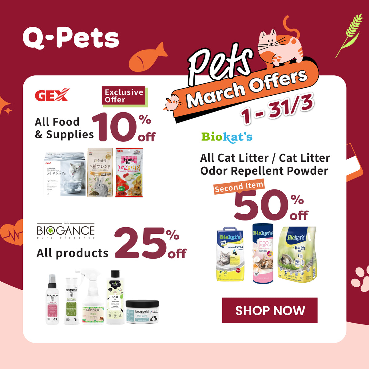 Q-PETS - Hong Kong's premier all-around pet experience store | Your pet ...