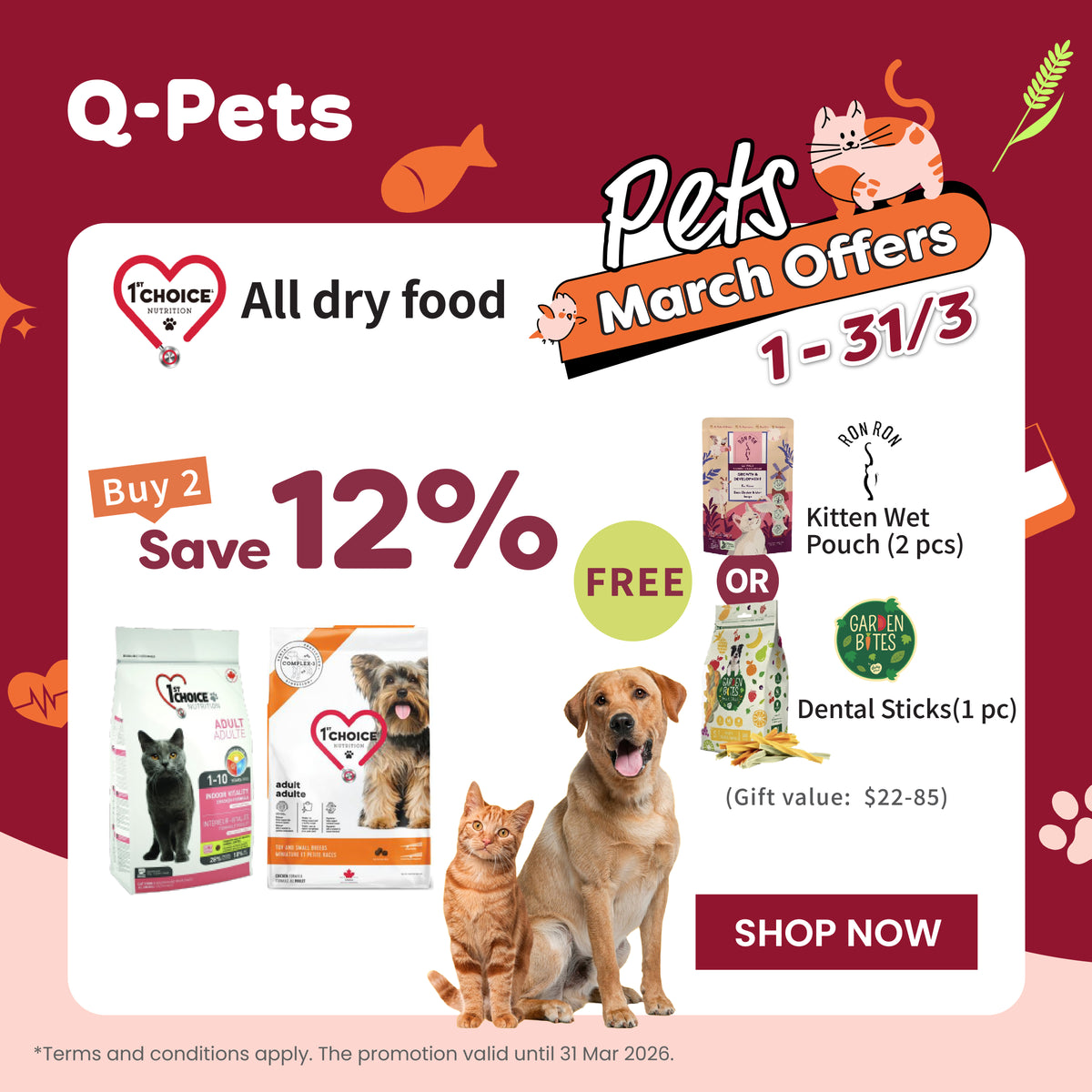 Q-PETS - Hong Kong's premier all-around pet experience store | Your pet ...