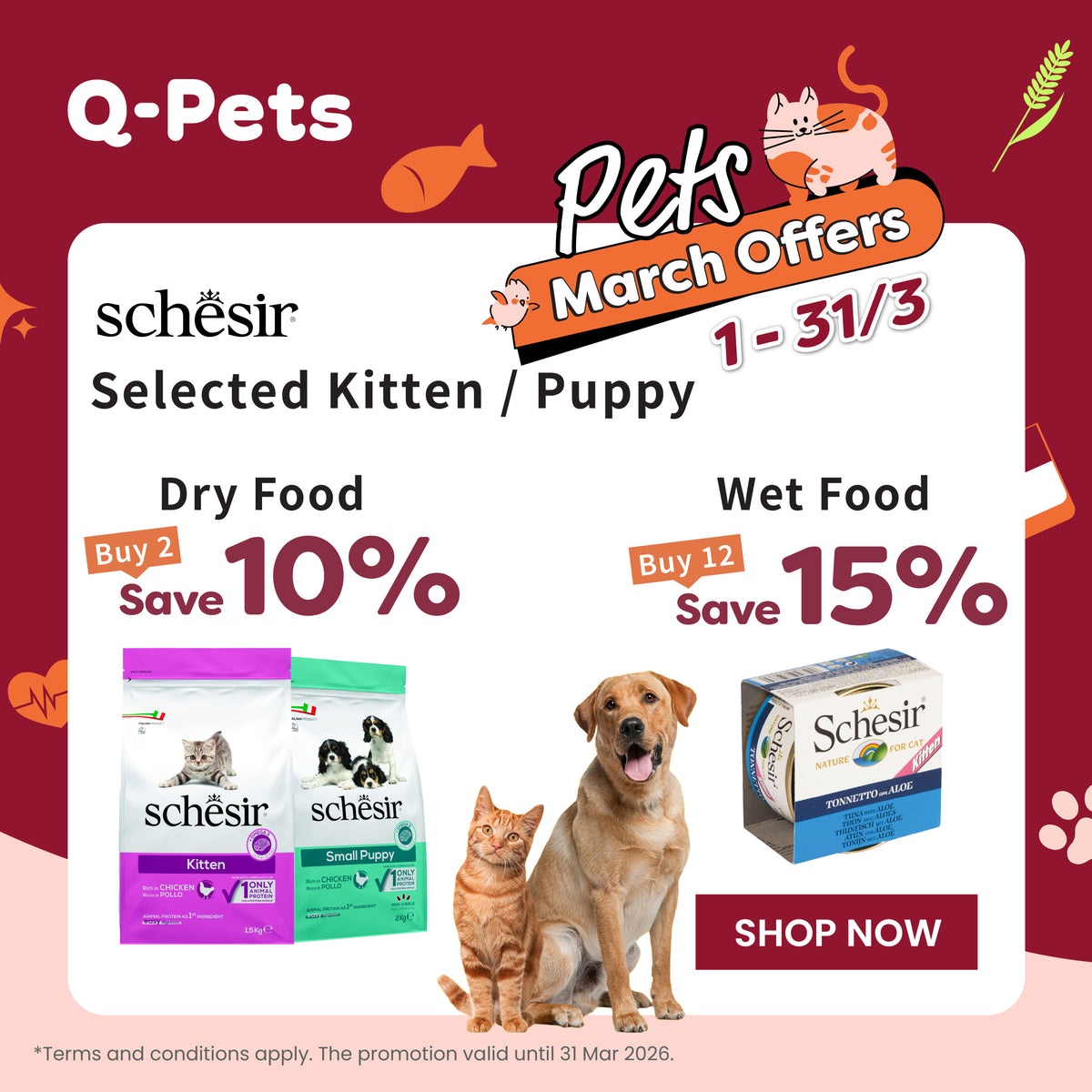 Q-PETS - Hong Kong's premier all-around pet experience store | Your pet ...