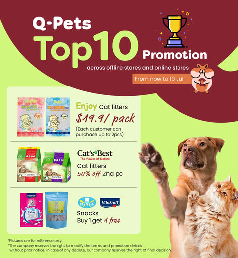 Q-PETS - 全港最強寵物全方位體驗店 | 你的愛寵首選