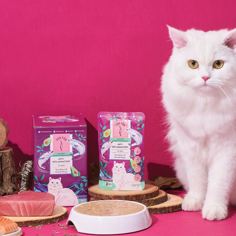 RonRon: Tuna Salmon Avocado Adult Cat Food Pouch 75g