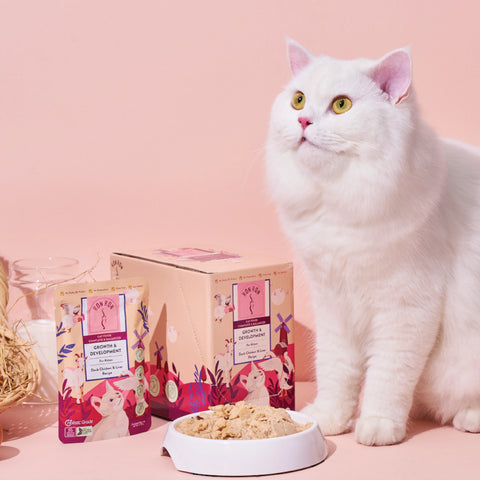 RonRon: Duck and Chicken Liver Kitten Main Food Pack 75g