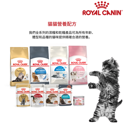 Royal Canin – Q-PETS
