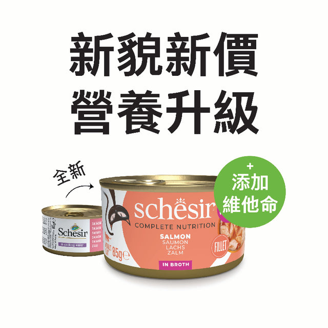 Schesir ：PHASE 2 - 水煮 - 三文魚貓罐頭
