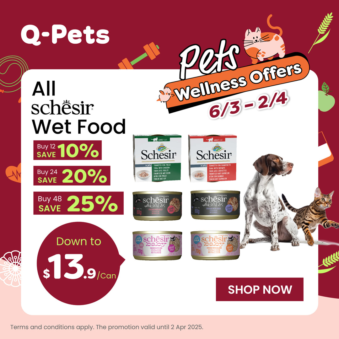 Q-PETS - 全港最強寵物全方位體驗店 | 你的愛寵首選