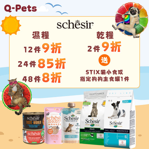 Schesir