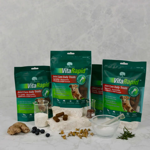 Vetalogica: Joint Care and Health Strips for Dogs