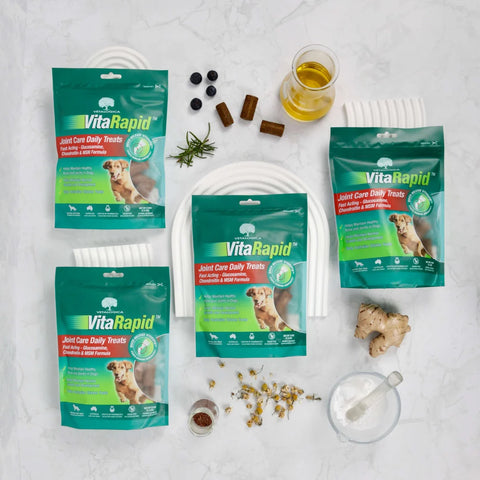 Vetalogica: Joint Care and Health Strips for Dogs