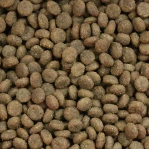 Vetalogica Naturals: Grain-Free Wild Salmon Cat Food for Adults