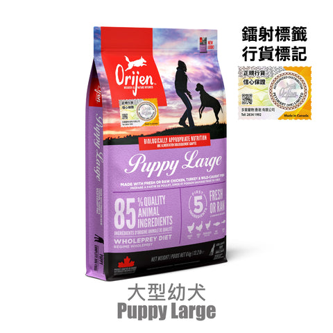 ORIJEN: Large breed puppy food 6kg