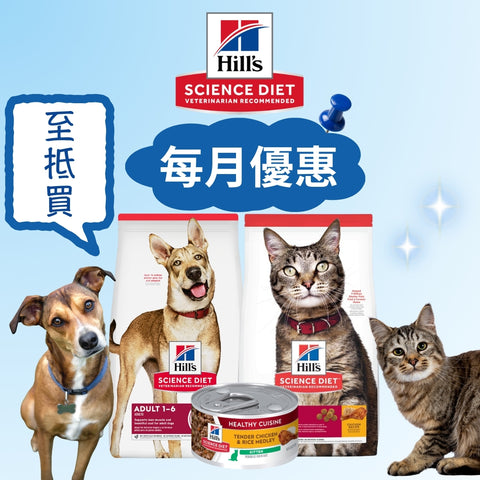 Hills 濕糧